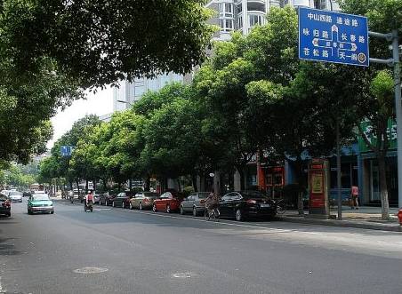 宁波再次领跑全国被世界瞩目,宁波拿了几枚金牌