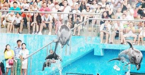 第十一届秦皇望海祈福文化节“翔健文化杯”秦皇岛第五届龙舟大赛举行！（内含更多干货）