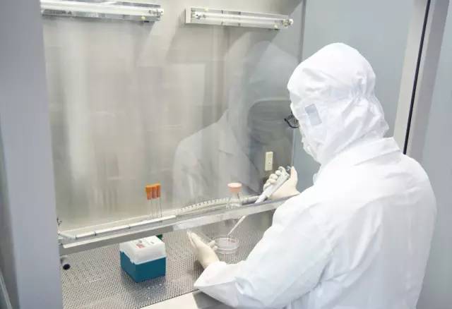 日本进口青汁百科,日本青汁和国内有啥区别