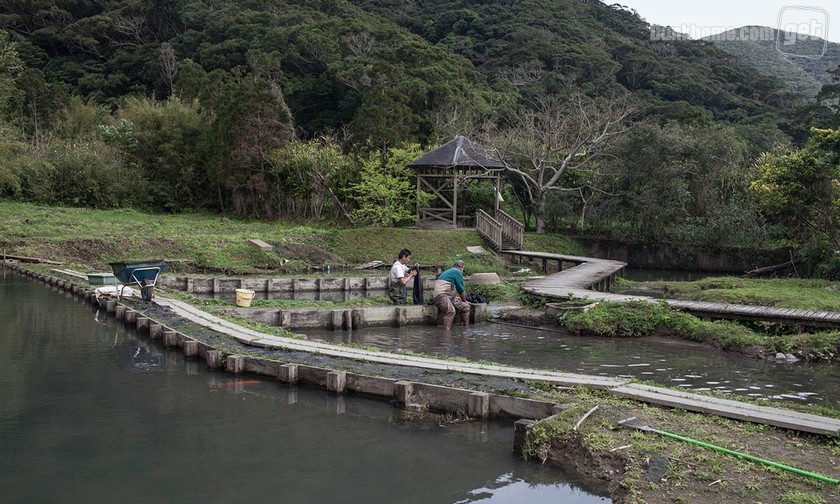 把衣服放泥里滚？来看看visvim真正的泥染过程