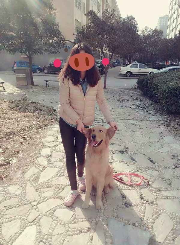 如果你能陪狗狗度过一生，你能不能这样？