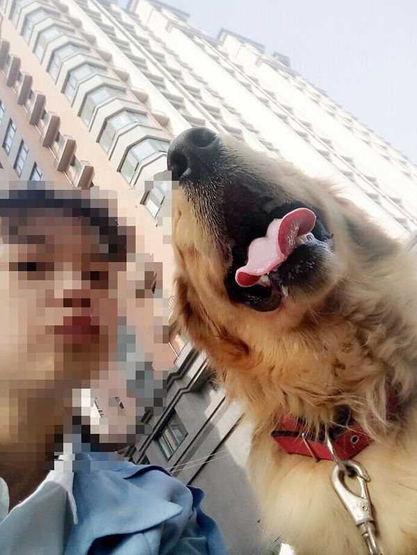 如果你能陪狗狗度过一生，你能不能这样？