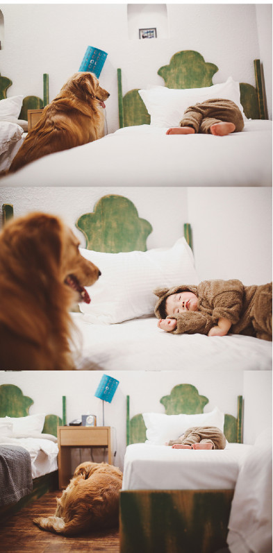 如果你能陪狗狗度过一生，你能不能这样？