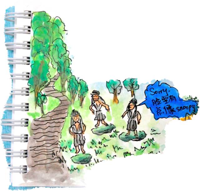 韩国济州岛旅游图片大全,济州岛手绘