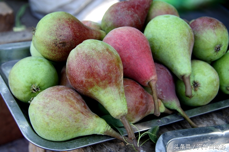 洛克之路卓尼段是从哪到哪,洛克之路路过卓尼县吗