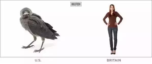 美国和英国为什么都讲英语,英国英语和美国英语的区别视频