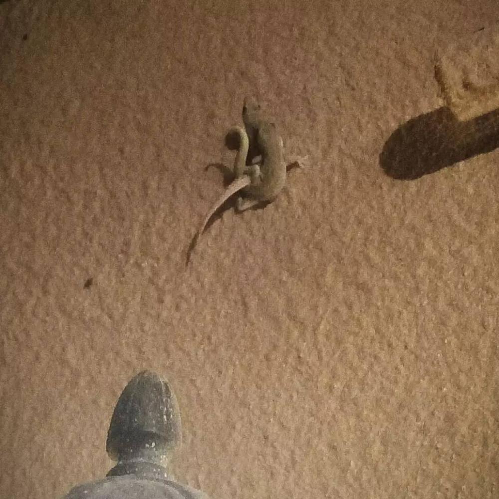 里约大冒险旅行,里约大冒险巴西旅游