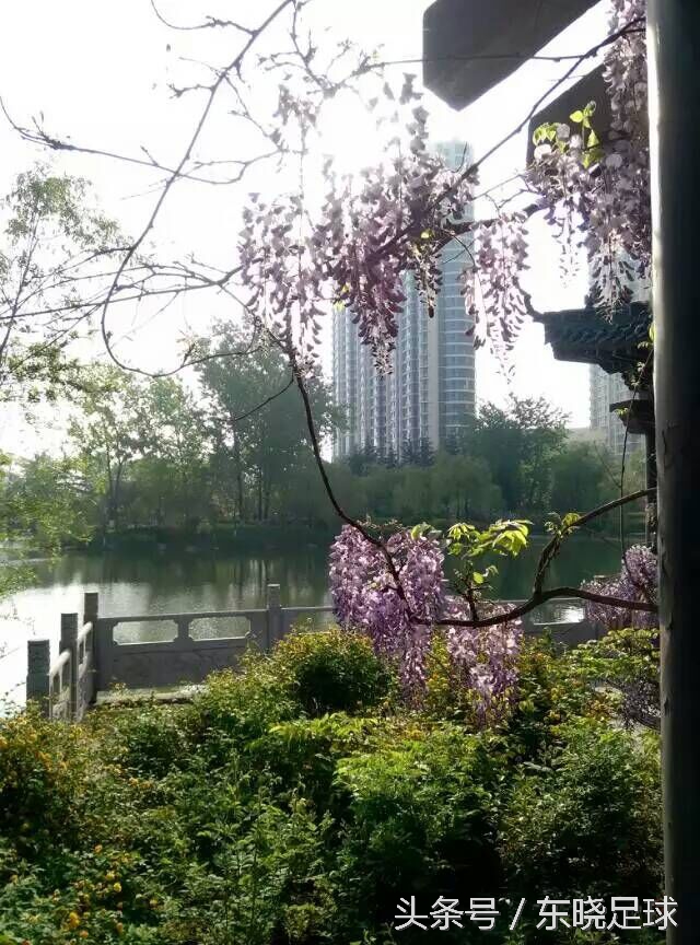 冬亦妖娆夏亦争艳临沂人民公园N分之一角