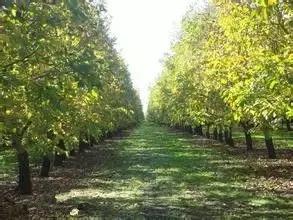 云南必去的小镇排名前十,云南这几个小众宝地别错过