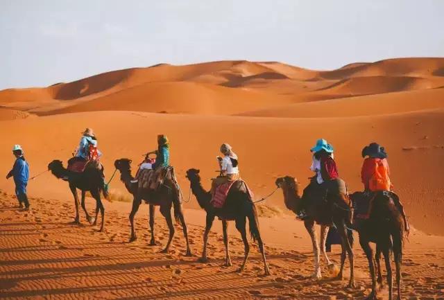 三毛撒哈拉的经典语录,三毛撒哈拉经典语录