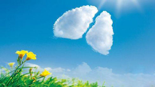 六字养生诀的练法图解,养生功法主要有5个口诀都是什么