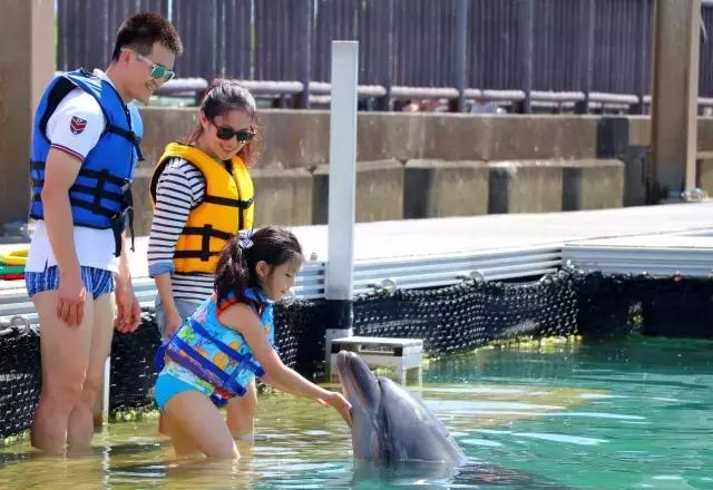 吃石恒牛肉，逛美军基地——日本冲绳就要这样玩！