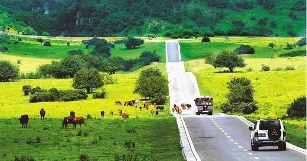 为什么开县成为开州区,重庆开县改为开州了吗