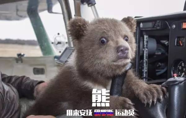 中国运动员里约遭盗抢,2016年巴西奥运会运动员东西被偷