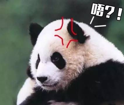 中国运动员里约遭盗抢,2016年巴西奥运会运动员东西被偷