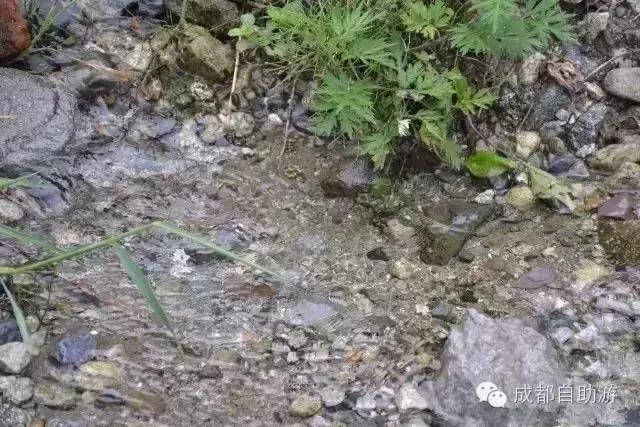 成都周边三日游最佳推荐,成都周边冷门旅游景点2日游