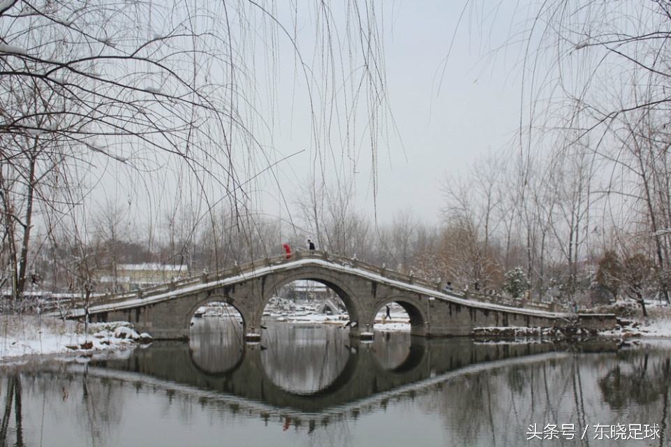 冬亦妖娆夏亦争艳临沂人民公园N分之一角