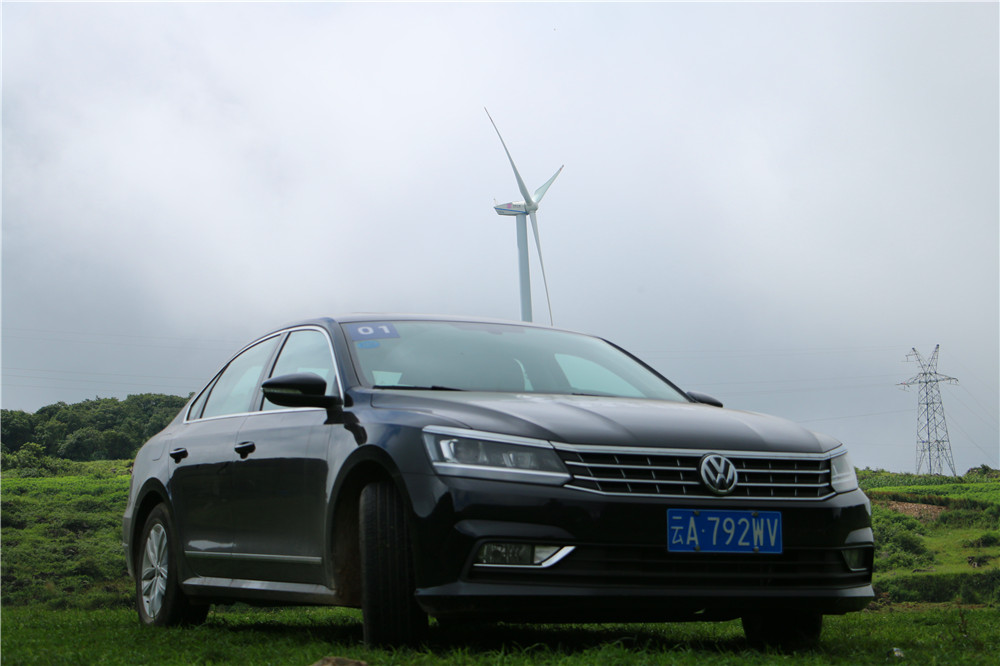 *萨特帕**一场与荷花无法拒绝的浪漫之旅