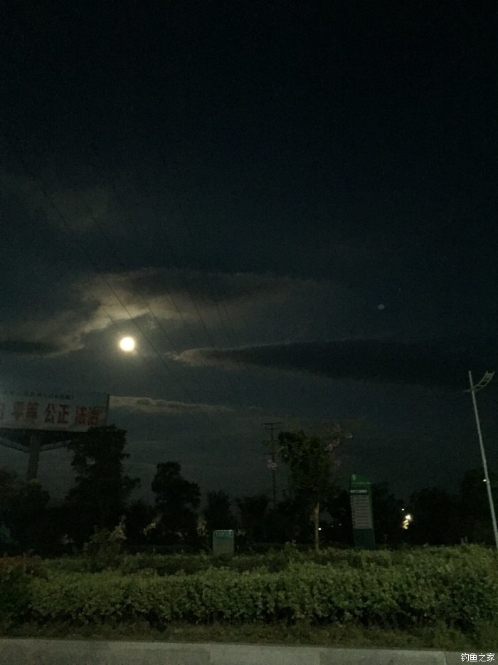 亮片跳底钓鳜鱼,一线多钩钓鳜鱼