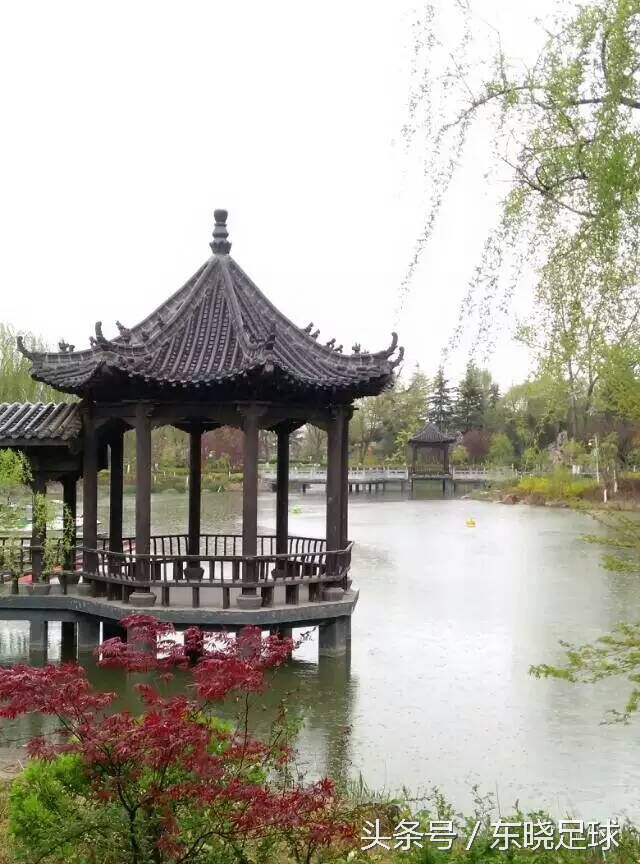 冬亦妖娆夏亦争艳临沂人民公园N分之一角