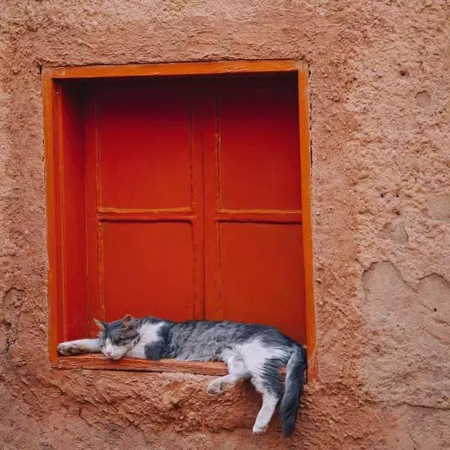 三毛撒哈拉的经典语录,三毛撒哈拉经典语录