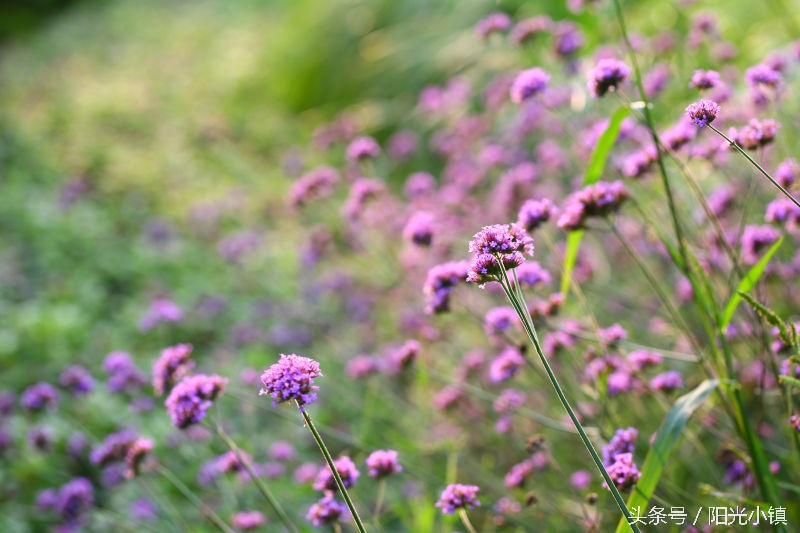 女人了解女人是什么意思,女人是怎么了解男人的