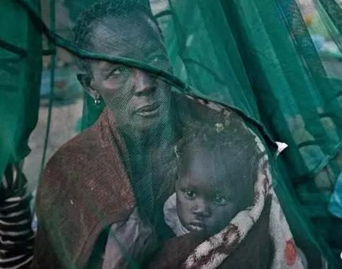 中国蚊帐在里约奥运村走红,巴西奥运会中国蚊帐