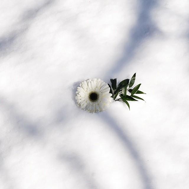 有些人一别就是一辈子图片,有些人一别便是永别