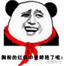 暑假托福刷题没人解答？为你盘点那些托福免费批改网站！