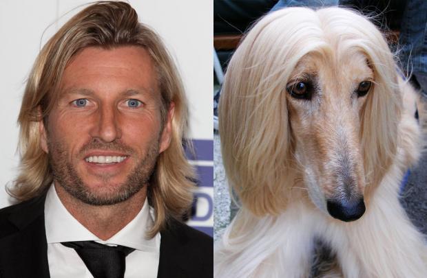 动物也疯狂蚂蚁大战,动物也疯狂双人