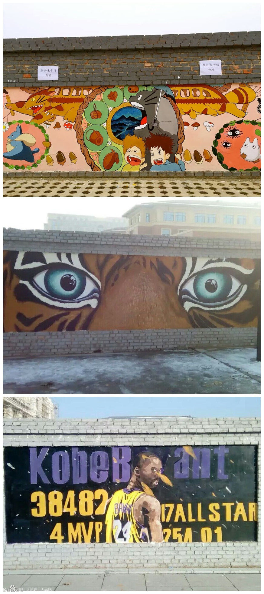 太原理工大学学姐迎新,新生怎么去太原理工大学