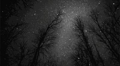 梦见别人被蜜蜂蛰是什么意思,梦见小强是什么前兆