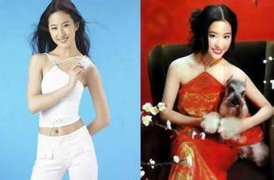 女明星露背装哪个好看,女星露背装盘点