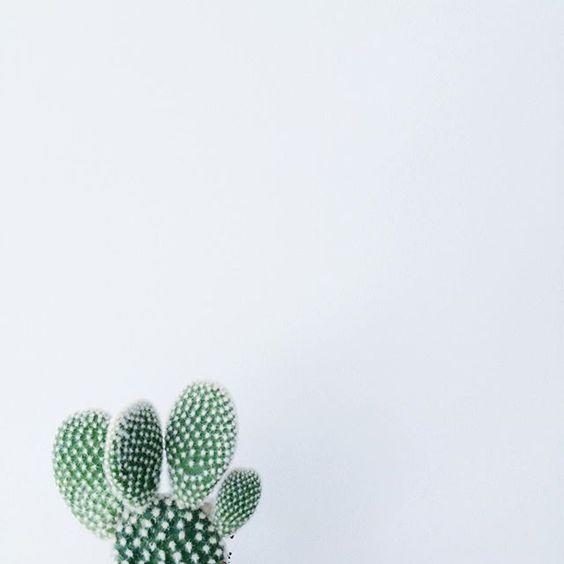 有些人一别就是一辈子图片,有些人一别便是永别