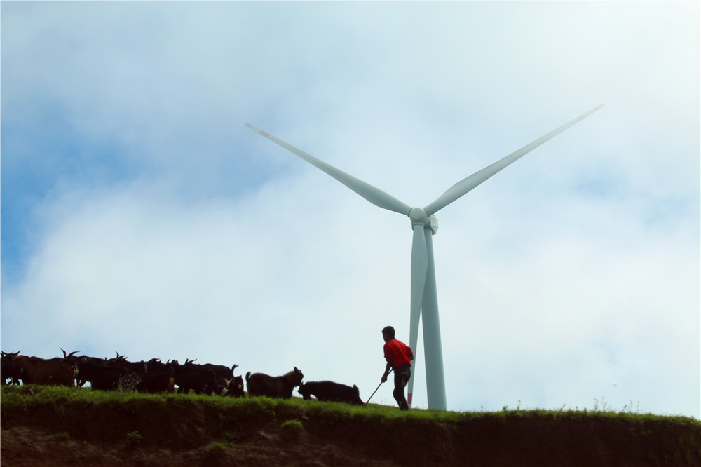 *萨特帕**一场与荷花无法拒绝的浪漫之旅