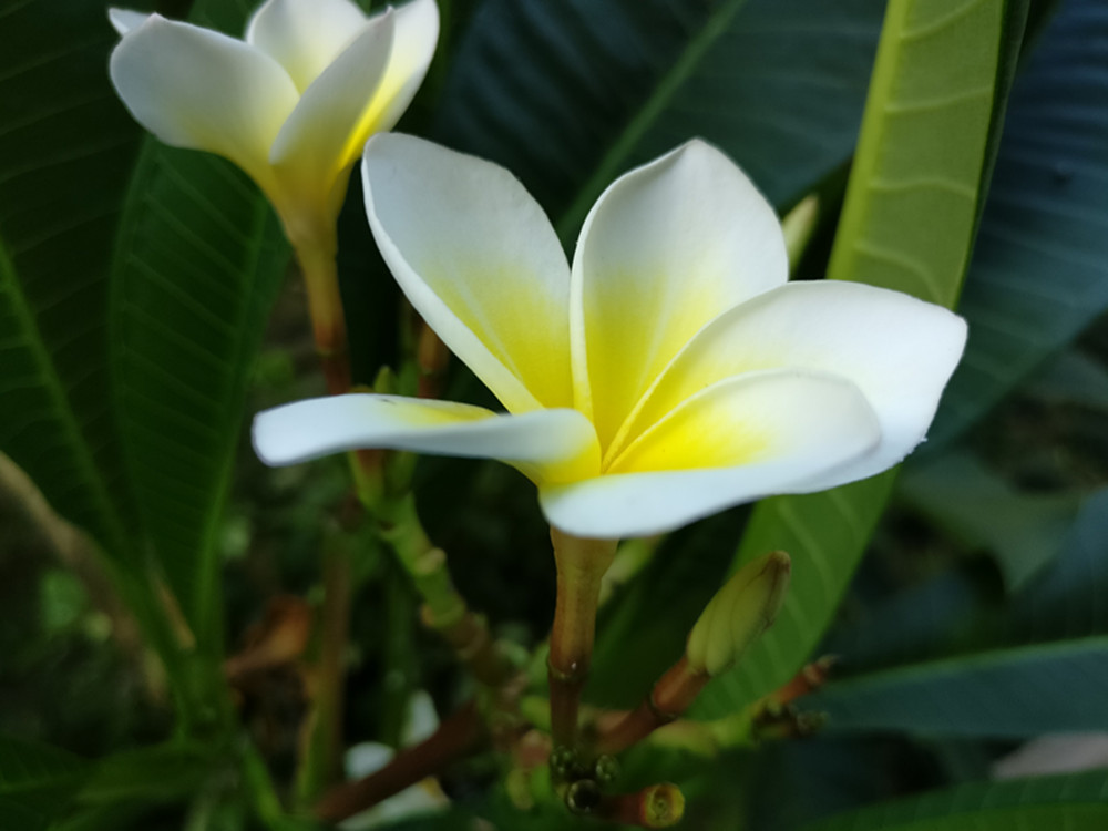 年轻，就该换个姿势——骑着麒麟区体验华为