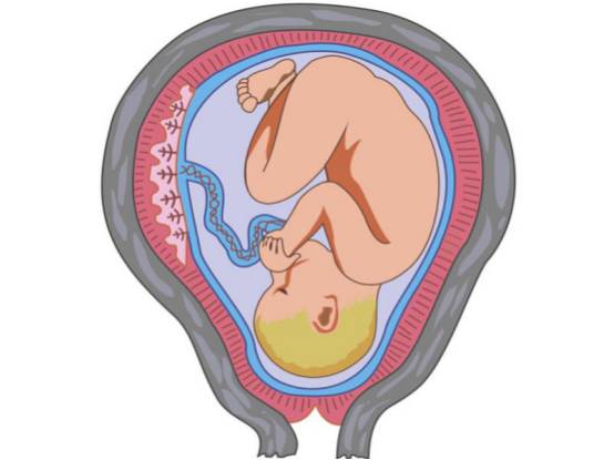 孕期上厕所是选蹲坑还是坐马桶,孕妇孕早期用蹲便还是马桶