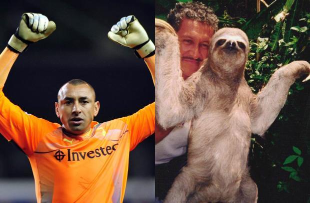 动物也疯狂蚂蚁大战,动物也疯狂双人