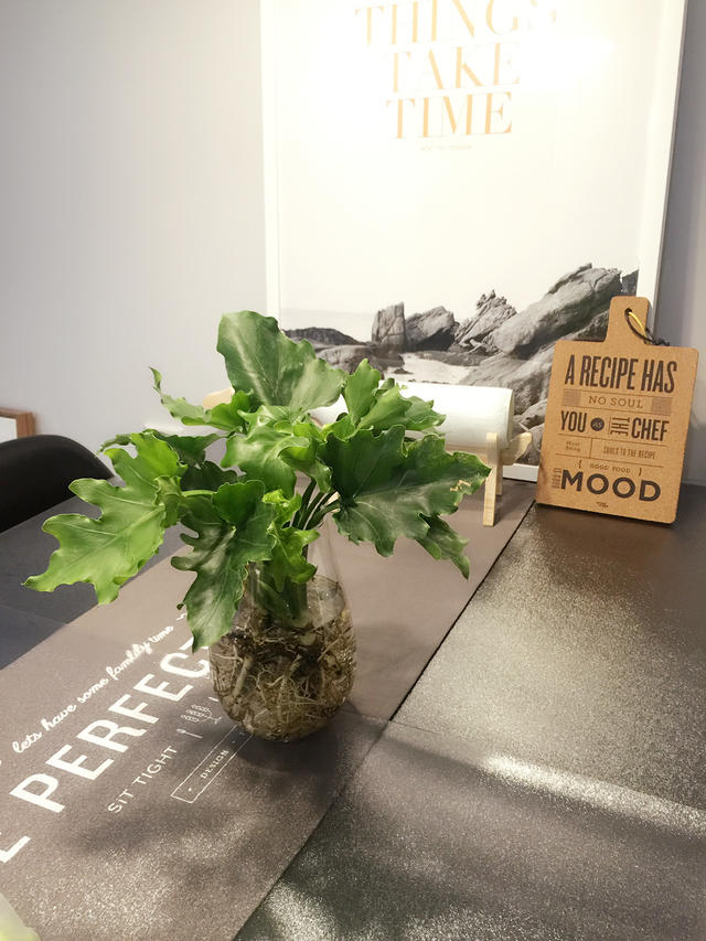 网购近百件好物，这个“伪文青”终于把家装成了理想样