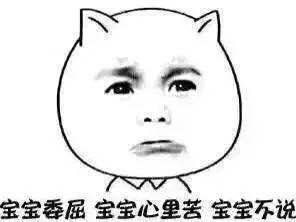 自己在家给泰迪狗狗剪毛,在家给狗狗剪毛需要什么剪刀