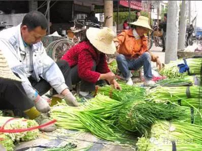 80后姑娘在农村创业,九零后农村姑娘创业故事