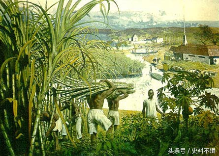 约会比工作还重要，上帝最眷顾的巴西，如何成为老司机遍地的污国