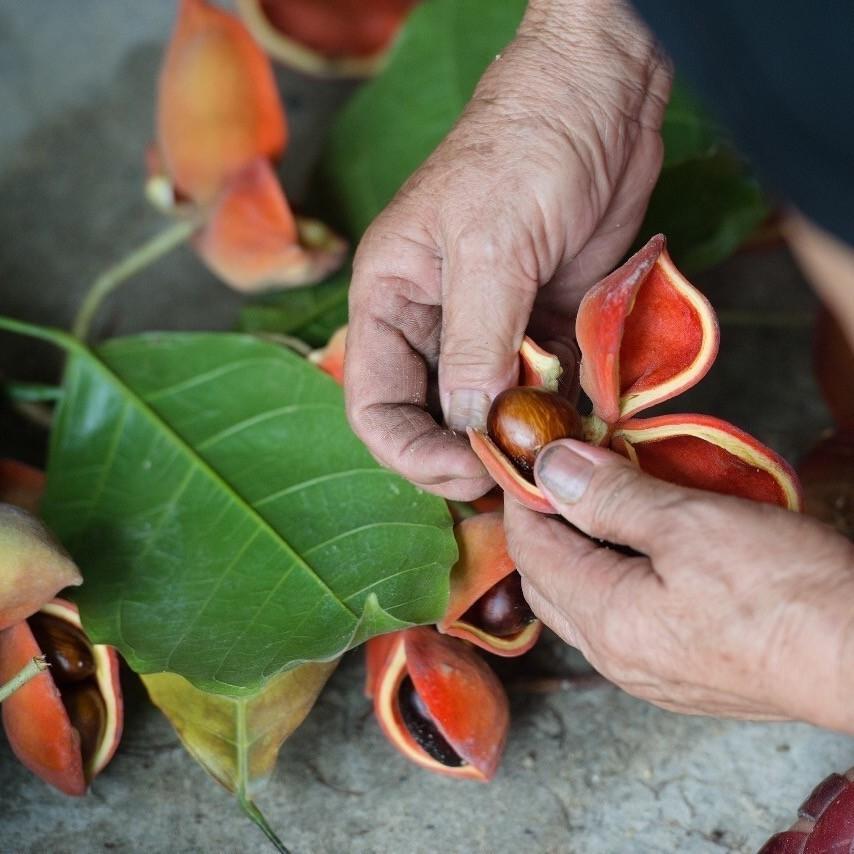 里约大冒险旅行,里约大冒险巴西旅游
