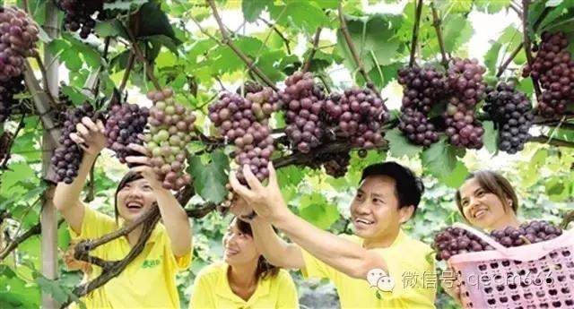 想搞个电商平台怎么搞,想搞电商怎么入门