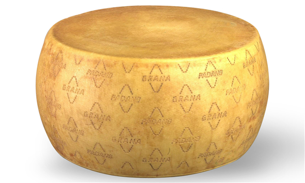 一帖看全常见芝士！麻麻再也不用担心我在超市芝士柜迷路了