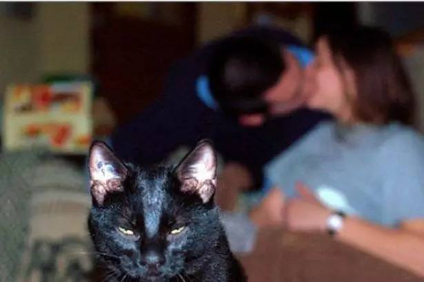 七夕节单身狗千万别出门拍火车,七夕节单身狗做什么