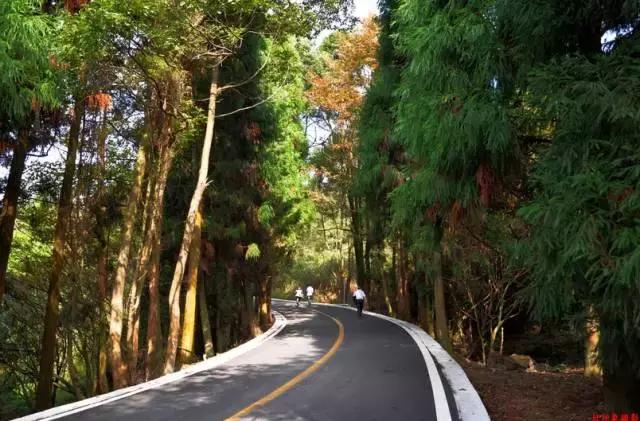 别去健身房了,福州健身馆哪里好