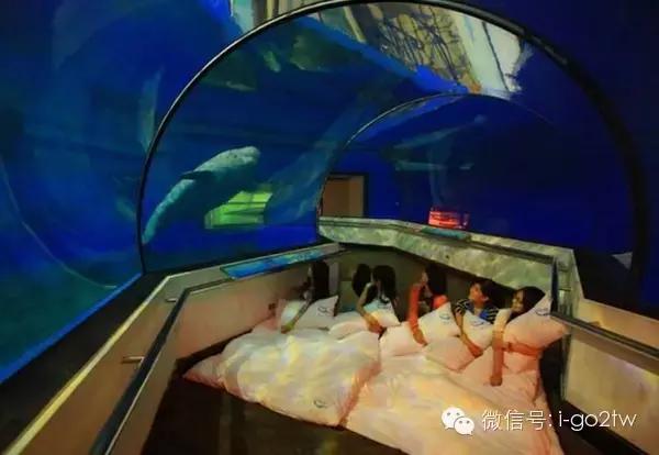 雨天旅游又是另外一种乐趣,旅游遇到下雨天也要潇洒