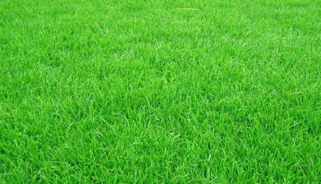 足球鞋踩平地,踢一次足球选鞋