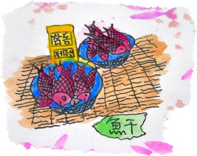 韩国济州岛旅游图片大全,济州岛手绘